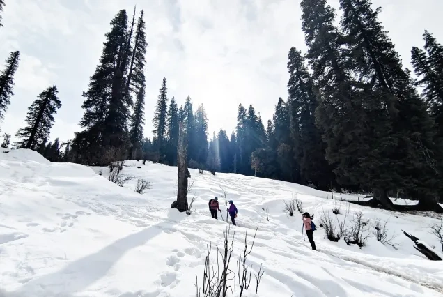 Kedarkantha Trek Distance