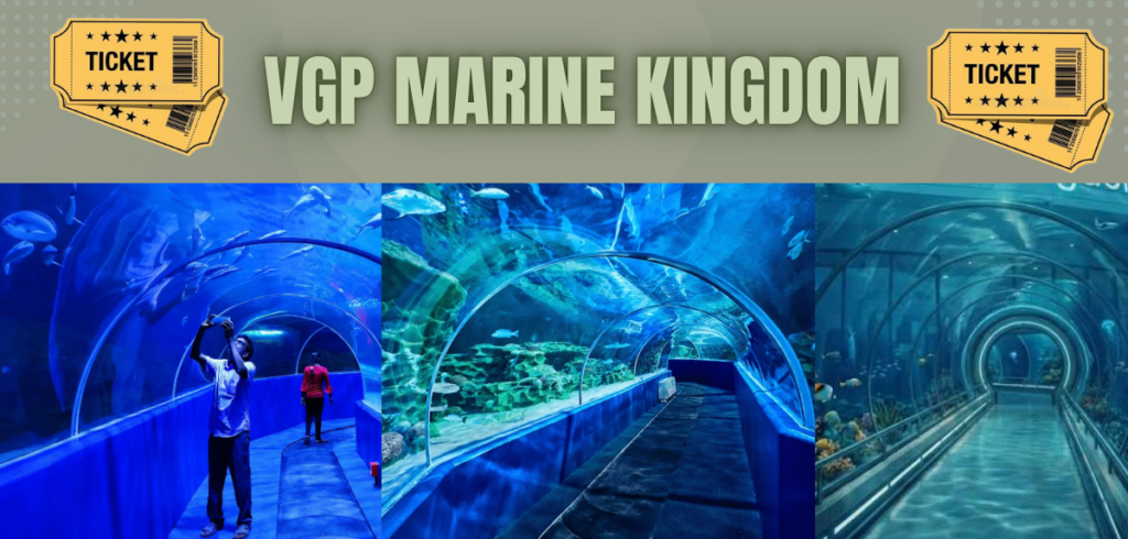 VGP Marine Kingdom: A Complete Review of Chennai’s Thrilling Water Park Experience VGP Marine Kingdom