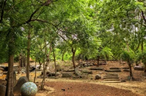 Tholkappia Poonga (Adyar Eco-park) Photos