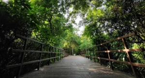 Adyar Eco Park Online Ticket Booking