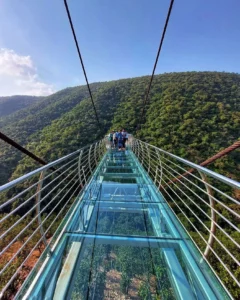 Rajgir Glass Bridge Ticket Price
