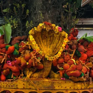 Mopidevi Temple